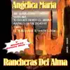 VIDITA MIA