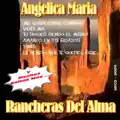 vidita mia