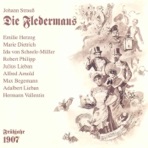Die Fledermaus
