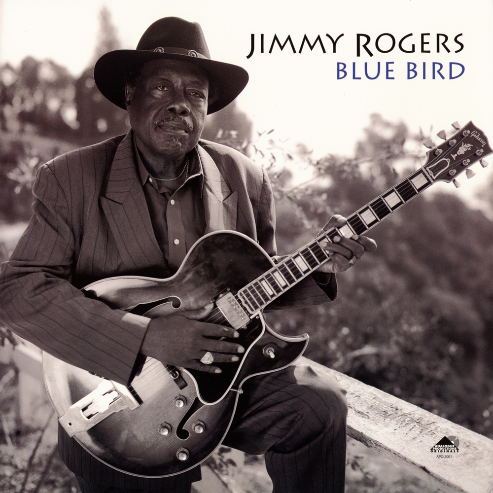 Обложка альбома «Blue Bird» — Jimmy Rogers