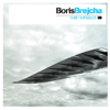 Boris Brejcha - Flying Bird обложка