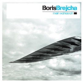 Flying Bird Boris Brejcha