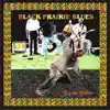 Big Joe Shelton - Black Prairie Blues