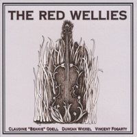The Red Wellies - Down the Hill/Tommy Coen's