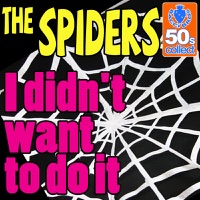 The Spiders - I Didn't Want to Do It (Digitally Remastered)