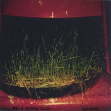 Nels Cline - Ribbed