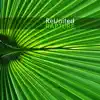Reunited - Rapture (Global Deejays Remix)