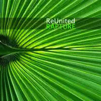 Rapture (Global Deejays Remix) — Reunited