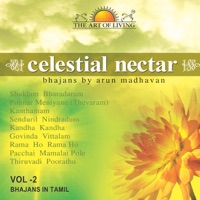 Celestial Nectar Vol.2 - The Art Of Living - Arun Madhavan