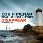 Disappear (feat. Melissa Mathes)