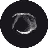 Basic Motion / Internal Call - Single - Audision & Pablo Bolivar