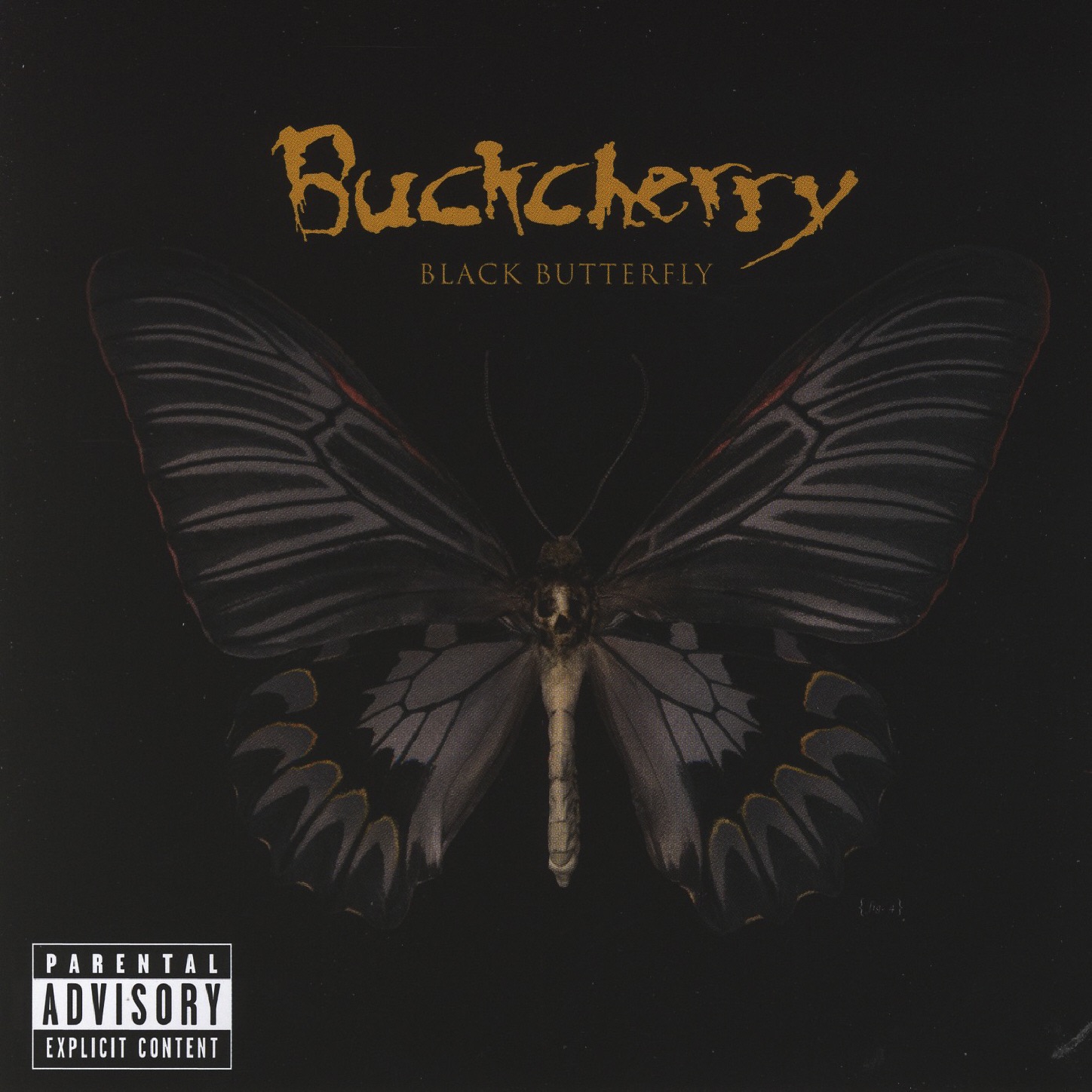 Black Butterfly