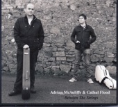 Adrian McAuliffe and Cathal Flood - Jigs: The Maid In the Meadow - The Wandering Minstrel