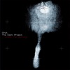 The Dark Project