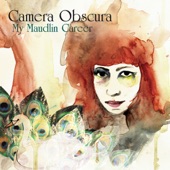 Camera Obscura - Honey In the Sun