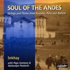 Soul of the Andes: Strings and Flutes from Ecuador, Peru and Bolivia