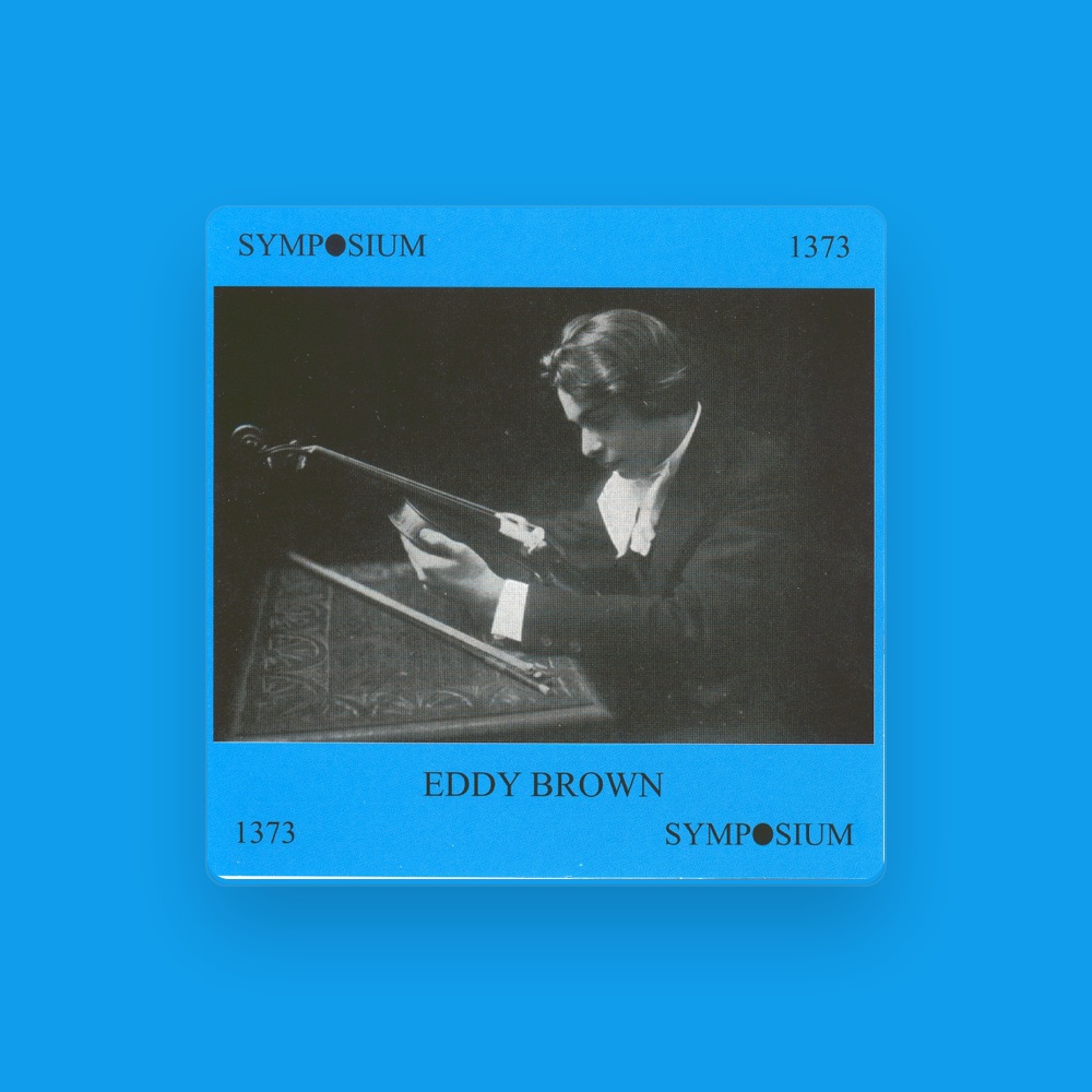 Фото Bluthner Symphony Orchestra