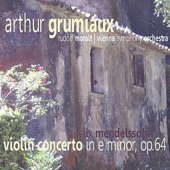 Violin Concerto In e Minor, Op. 64 : I. Allegro Molto Apassionato artwork