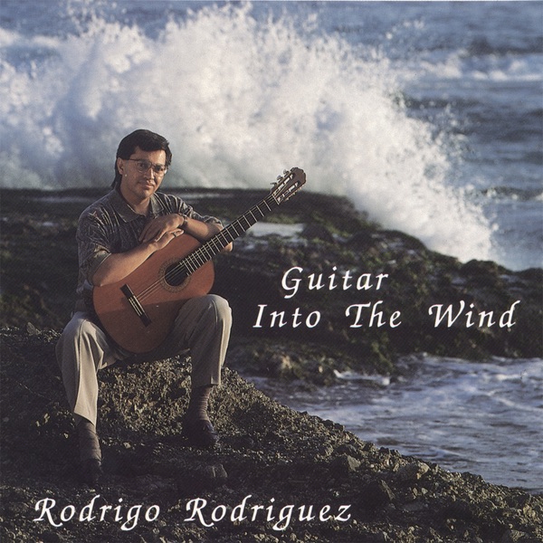 Guitar Into the Wind