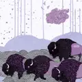 Journey to the Plains
