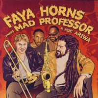 Faya Horns Meet Mad Professor & Joe Ariwa - Faya Horns Meet Mad Professor & Joe Ariwa