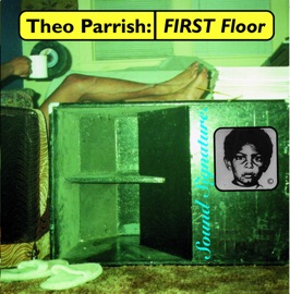 Paradise Architects Theo Parrish