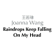 Raindrops Keep Fallin' On My Head - 王若琳