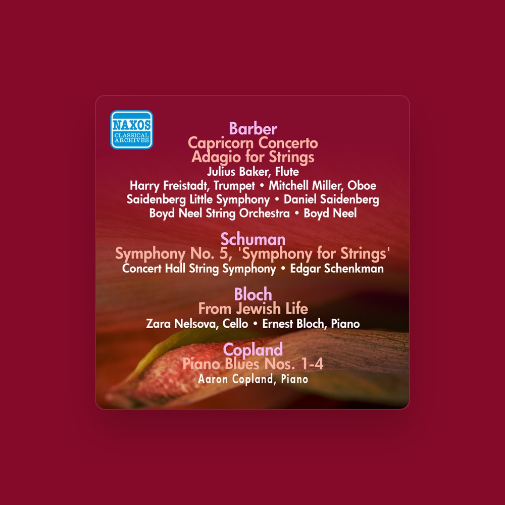Фото Concert Hall String Symphony
