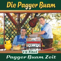 Die Pagger Buam - Pipihenderl