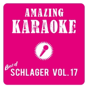 Das bißchen Haushalt...sagt mein Mann (Karaoke Version) [Originally Performed By Johanna von Koczian] - Amazing Karaoke