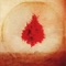 Oh I See - Adam Arcuragi lyrics