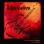 Mexicalero - Magic Acoustic Guitars