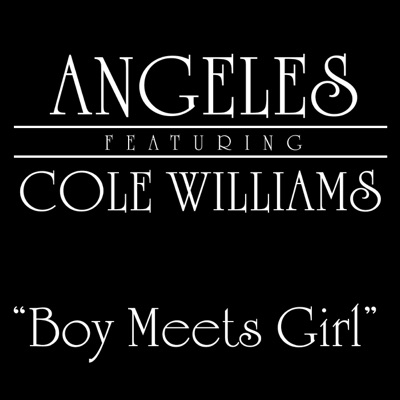 Boy Meets Girl (feat. Cole Williams) - Single