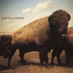 Harder (Ashley Beedle Soultek Dub) - Single - Kosheen