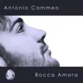 E LA PIOGGIA SI LAMENTA