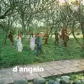 Tu