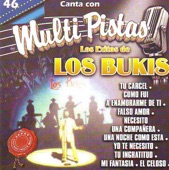 Los Exitos de los Bukis