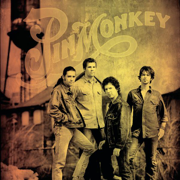 Pinmonkey - Pinmonkey