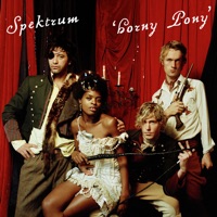 Horny Pony - EP - Spektrum