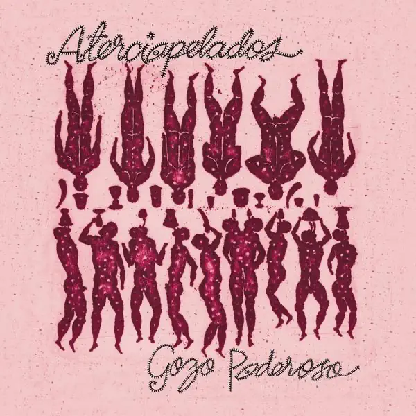 El Album — Aterciopelados