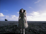 Who Is It - Björk