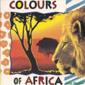Cover art for Safari by Magi Shamba