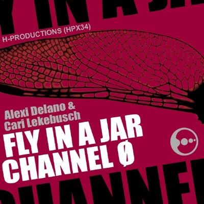 Fly In a Jar
