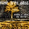 Ilene - Nine Grey Days lyrics