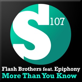 More Than You Know (RAM Remix) [feat. Epiphony] Flash Brothers