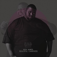 Beautiful Darkness - Noa James