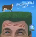 AI FI TU