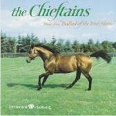 Ballad Of The Irish Horse