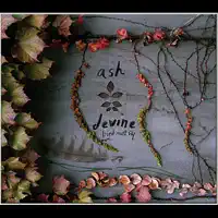 How You Been? — Ash Devine