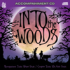 Songs from Into the Woods: Karaoke - Stage Stars Records
